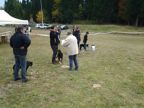 Bild Nr2