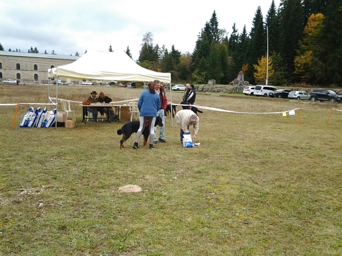 Bild Nr12