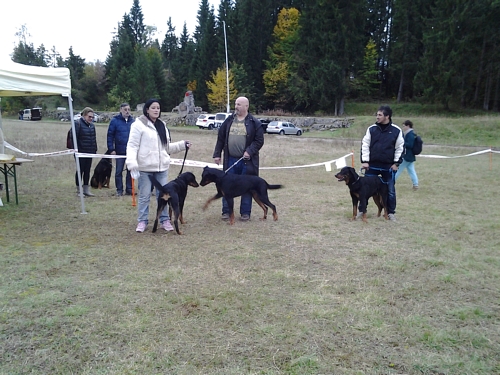 Bild Nr37